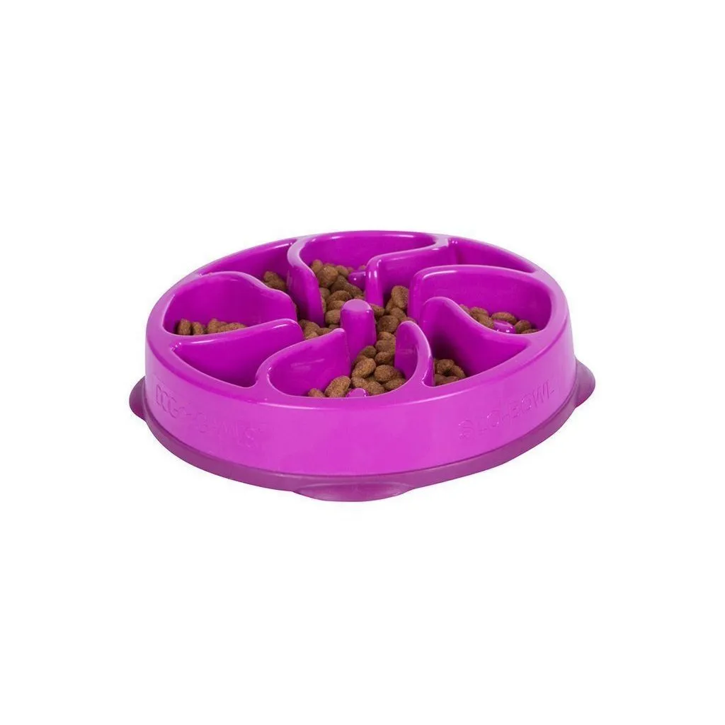 Outward Hound Fun Feeder Slo-Bowl Flower Dog Bowl Mini Purple