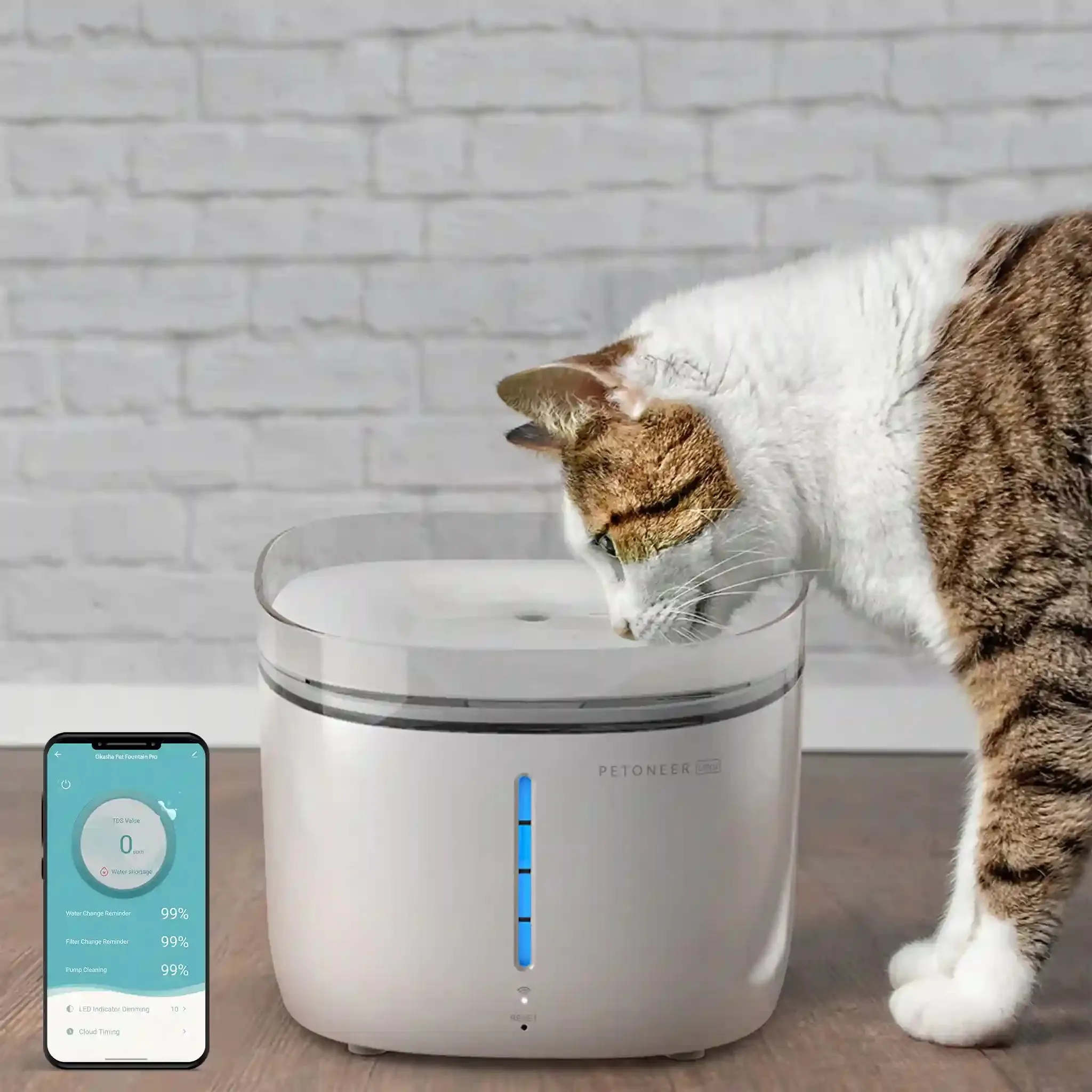 Pet Water Fountain