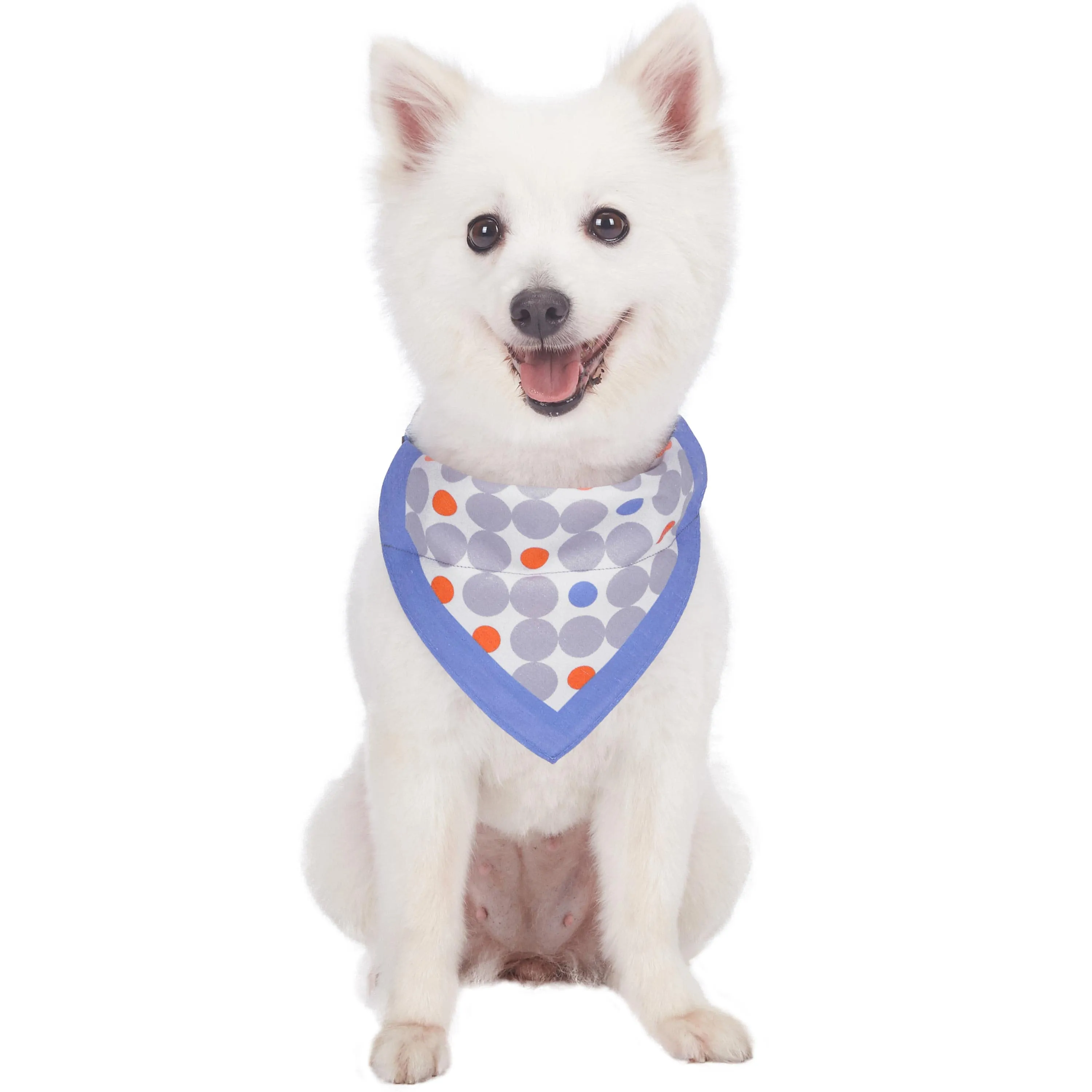 Polka Dot Bandana Dog Collar