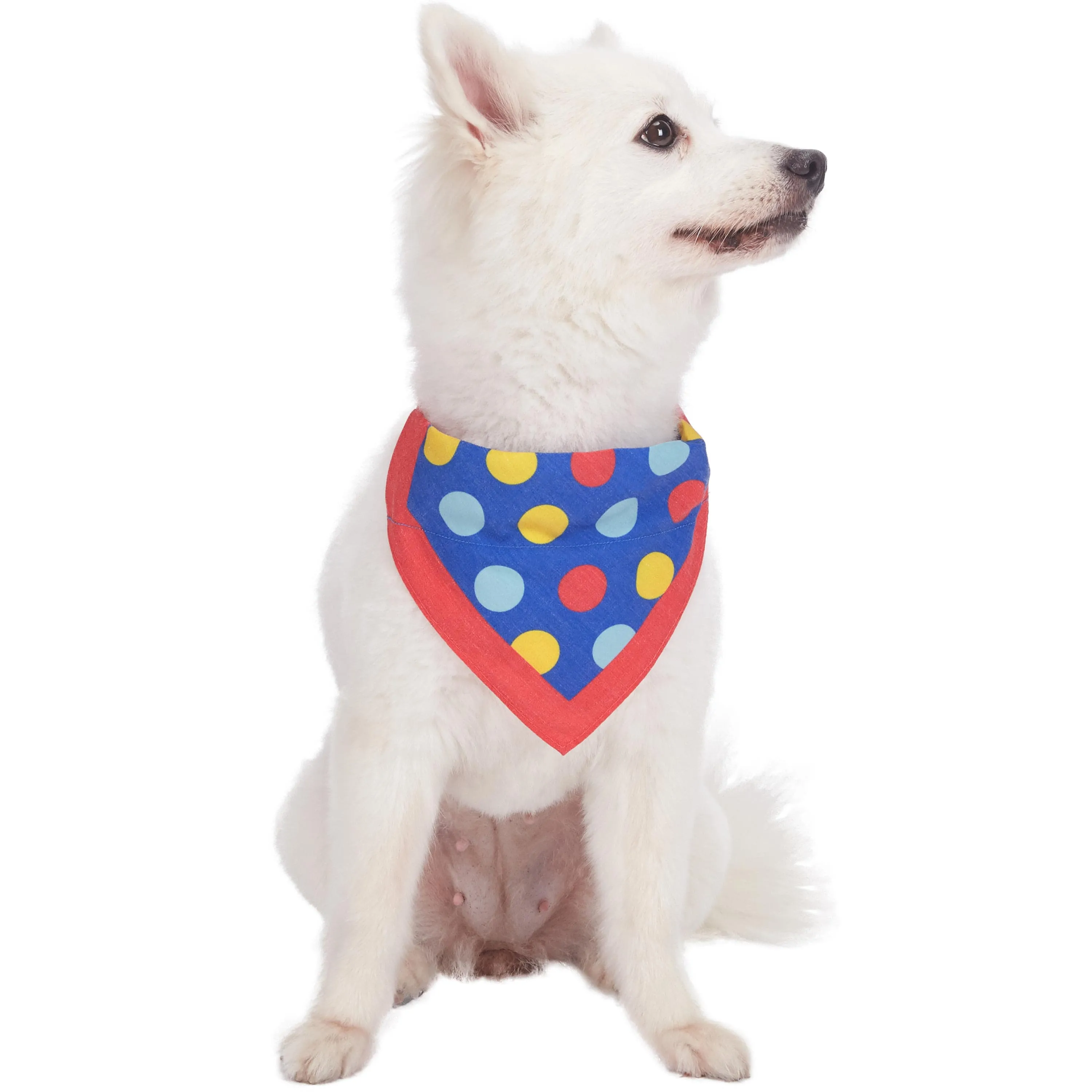 Polka Dot Bandana Dog Collar