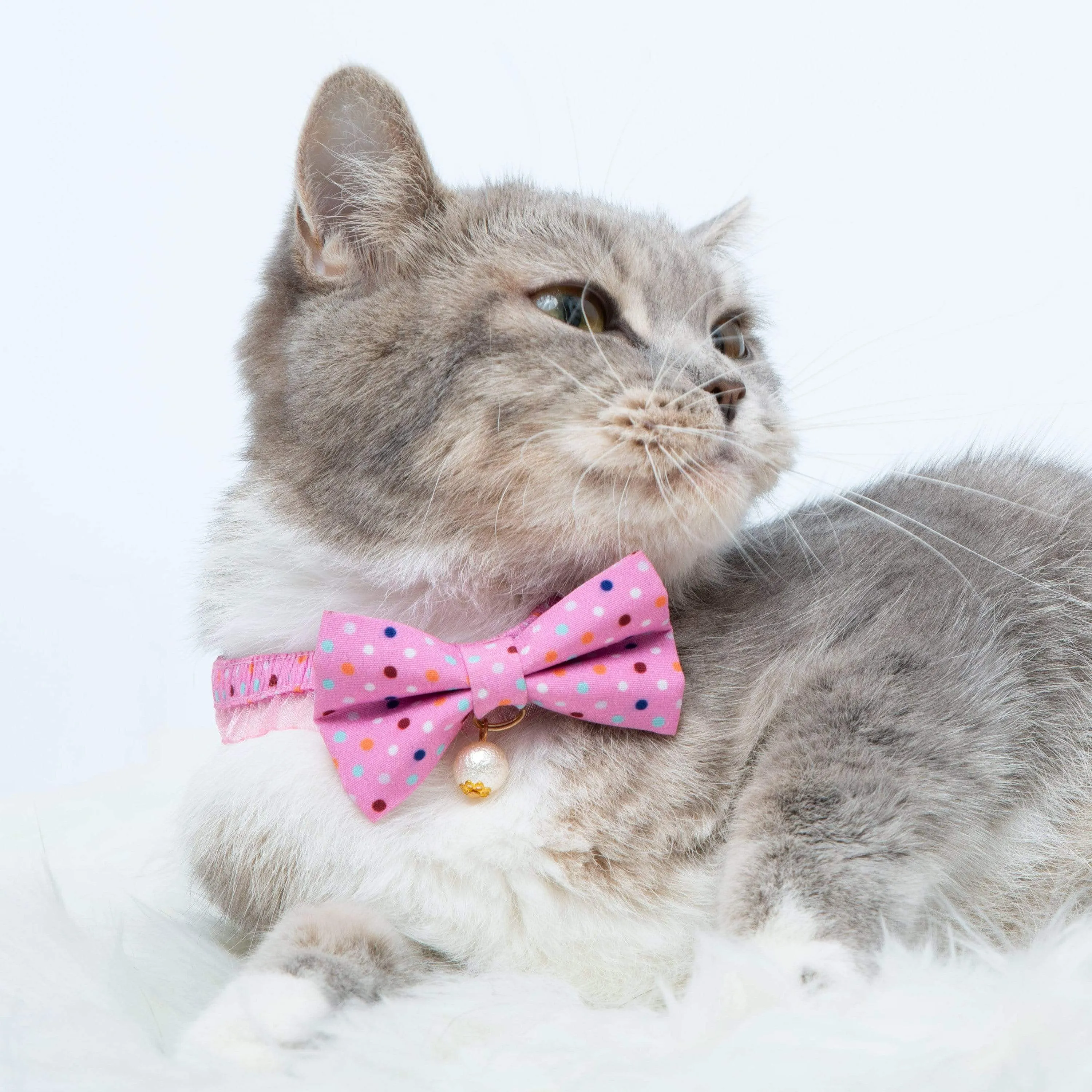 Polka Dot Bowtie Cat Collar with Pearl