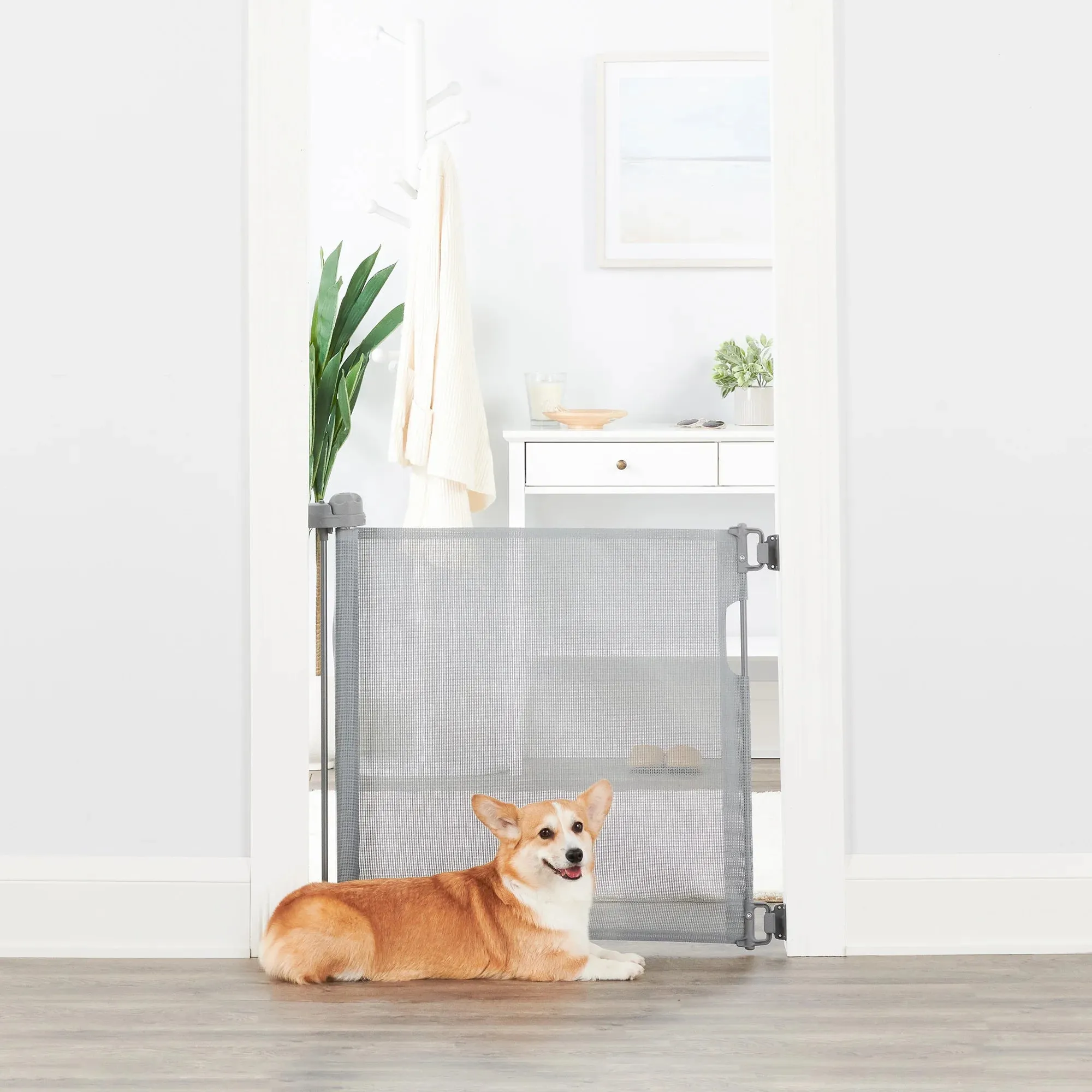 Retractable Pet Gate