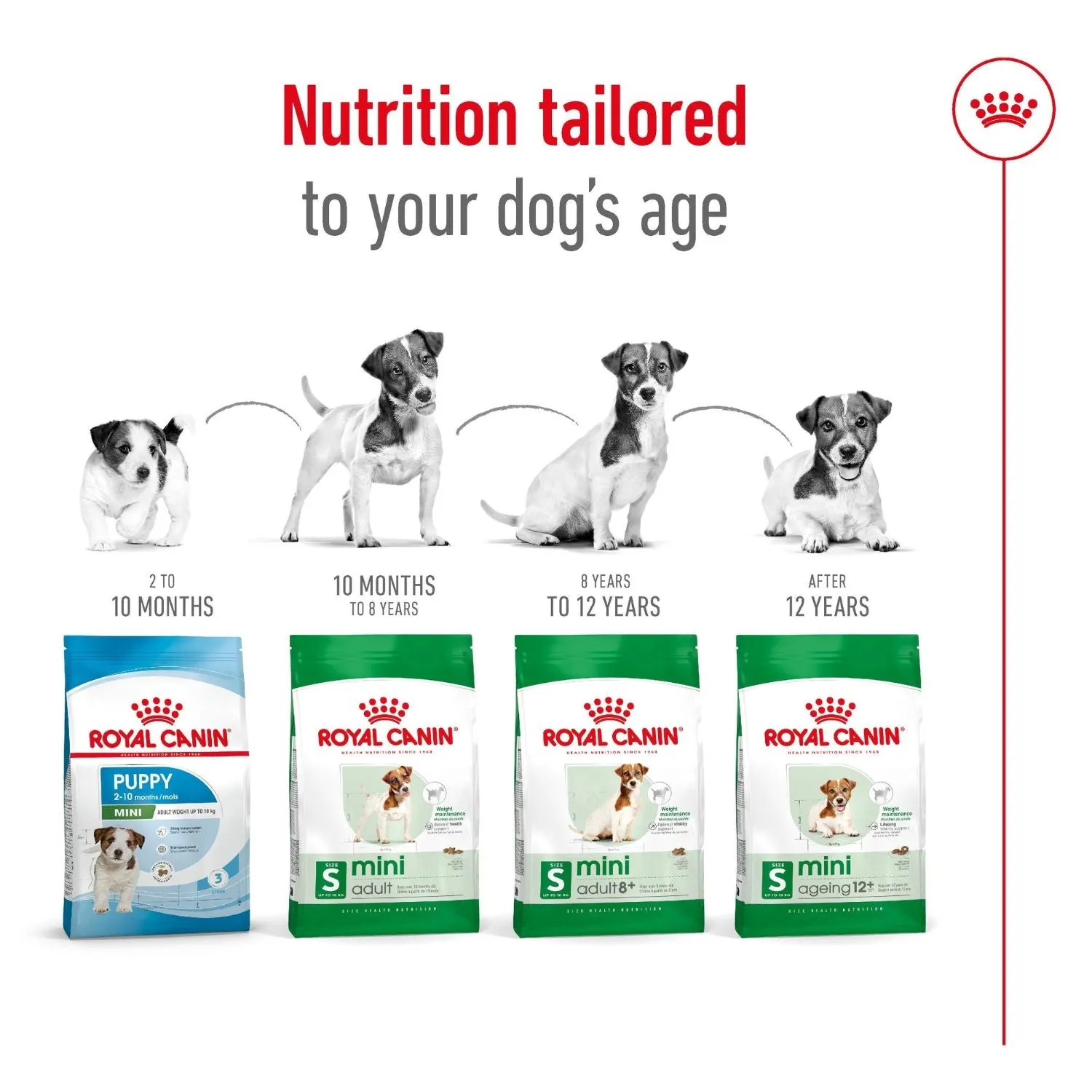 Royal Canin Dog Mini Adult Dry Food 8kg