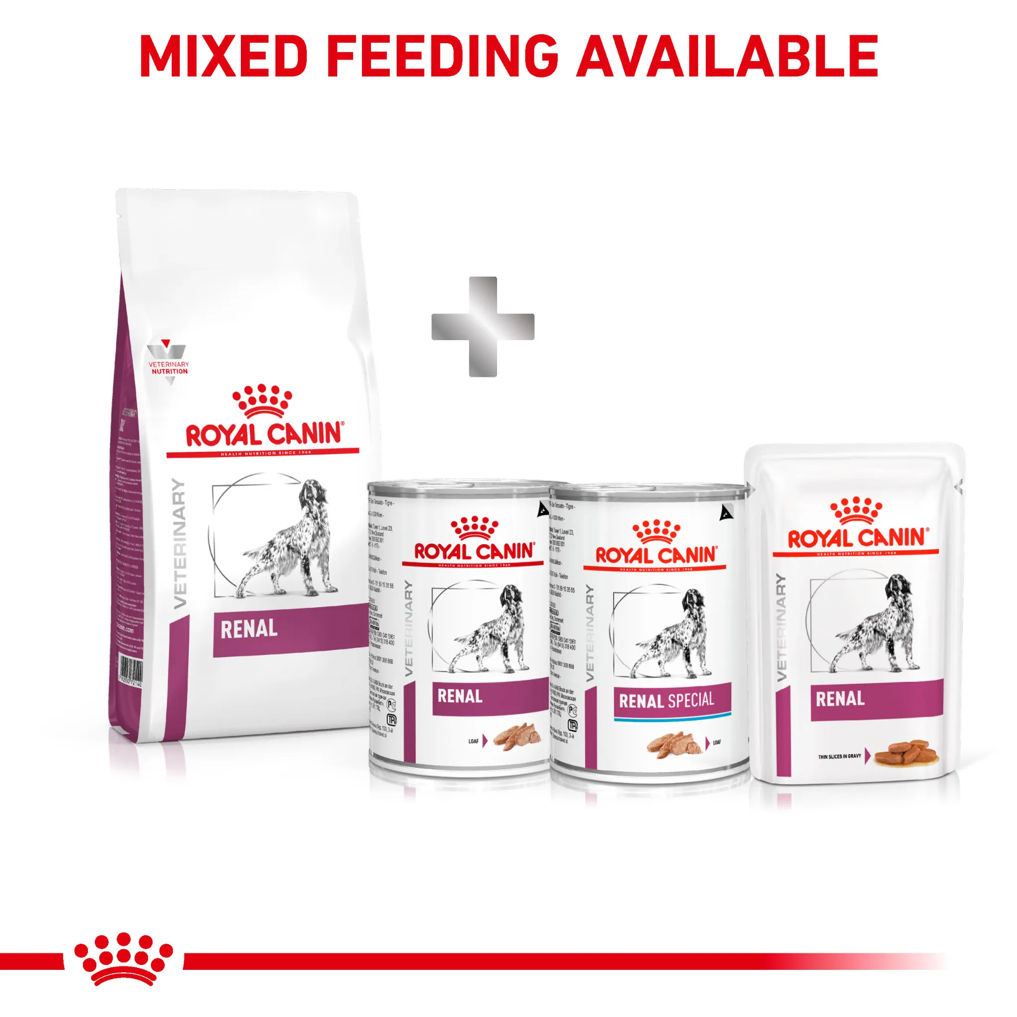 ROYAL CANIN® Renal Adult Dry Dog Food