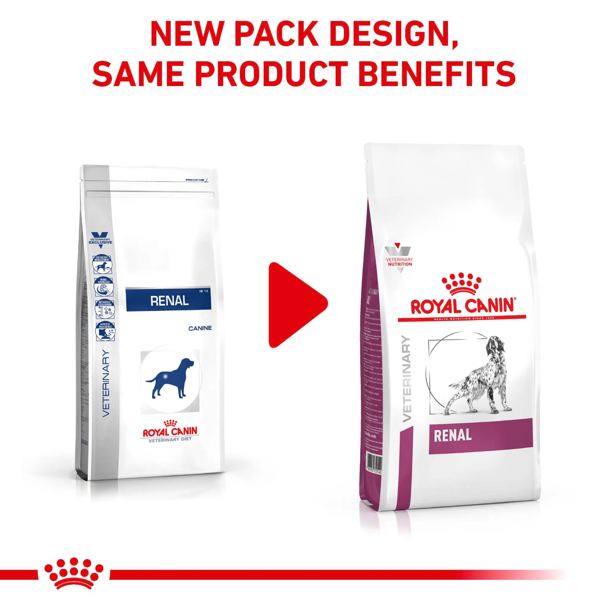 ROYAL CANIN® Renal Adult Dry Dog Food