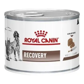 Royal Canin Veterinary Diet Dog and Cat Recovery Wet Food 195g x 12