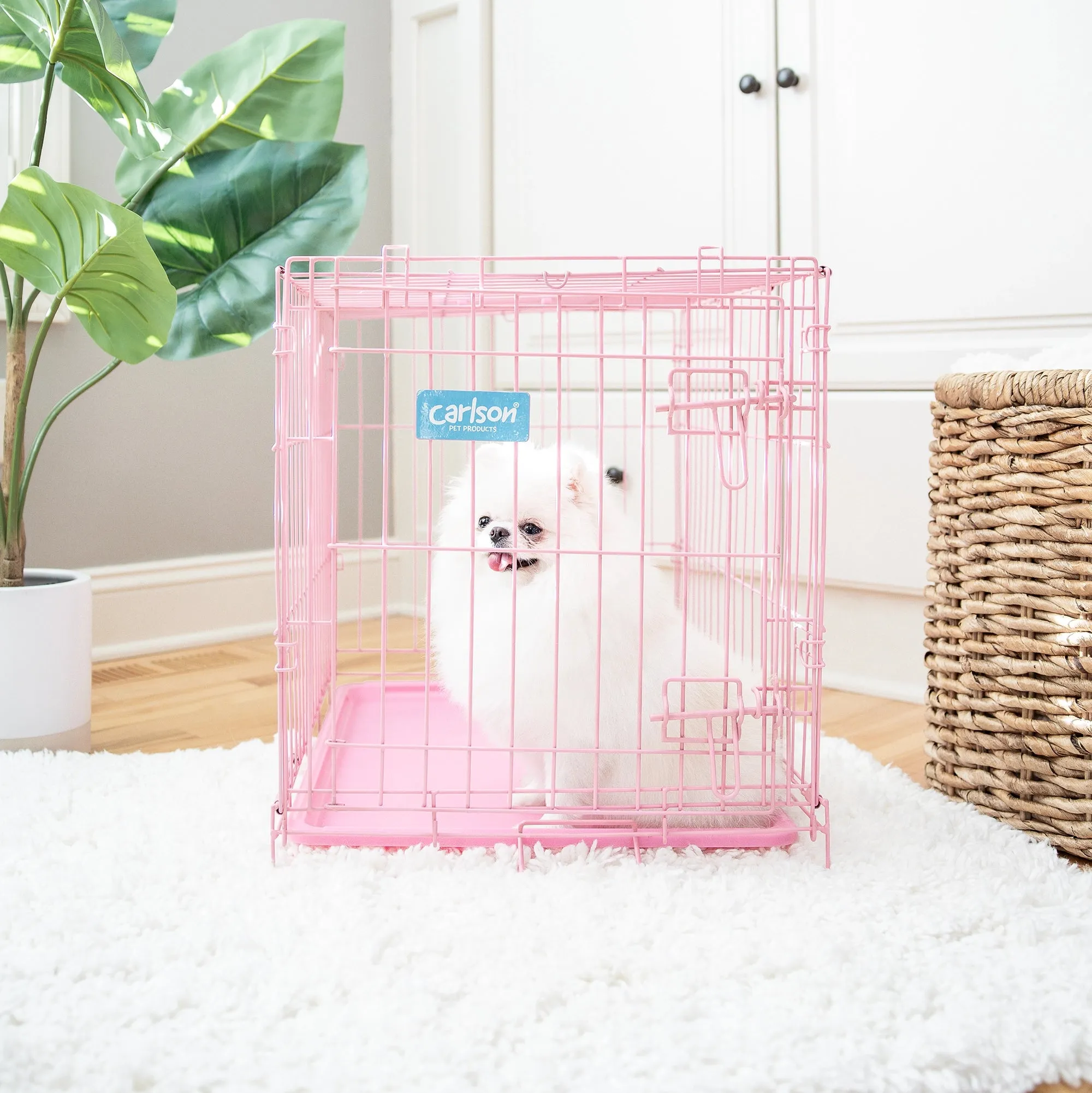 Small Single-Door Dog Crate