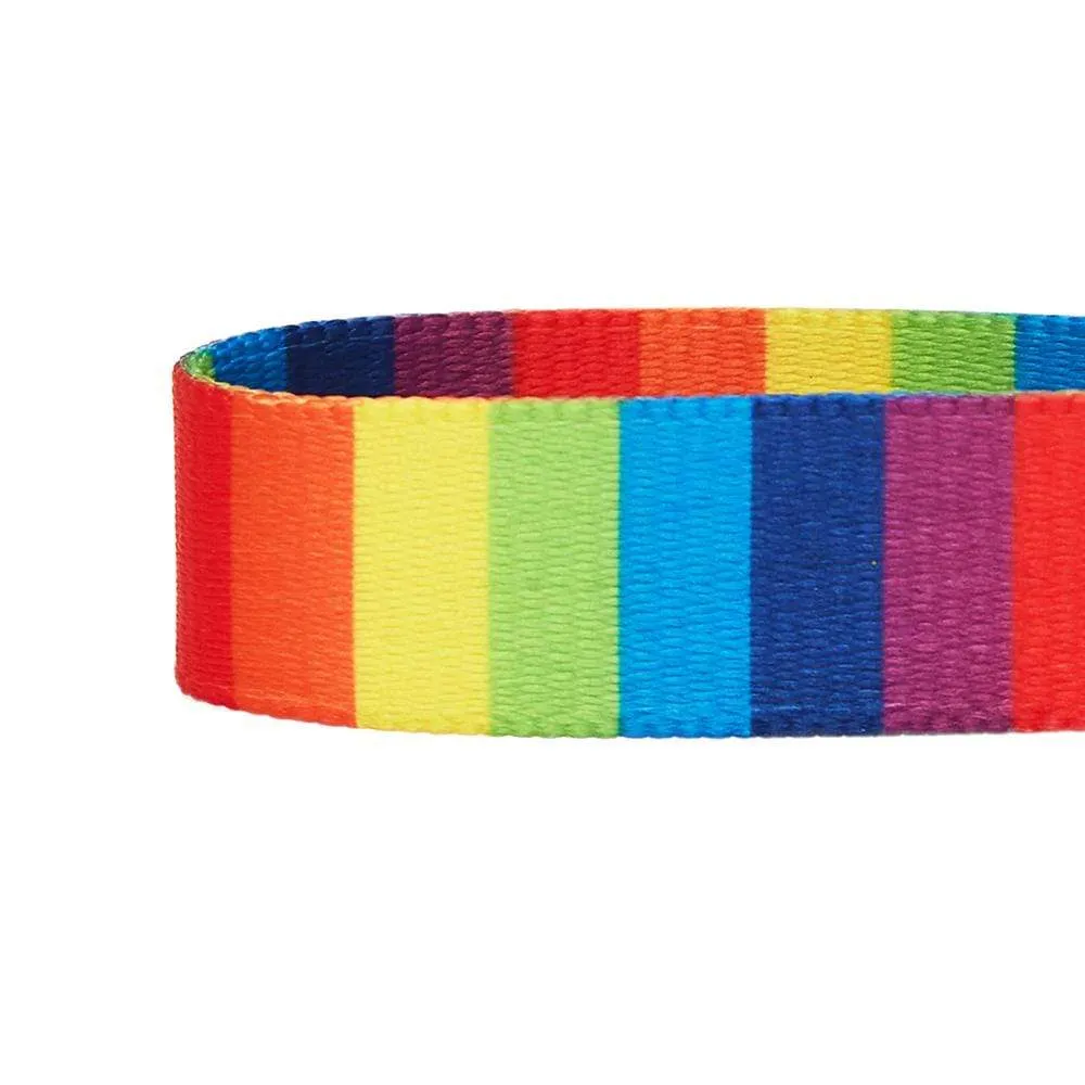 The Perfect Rainbow Dog Collar