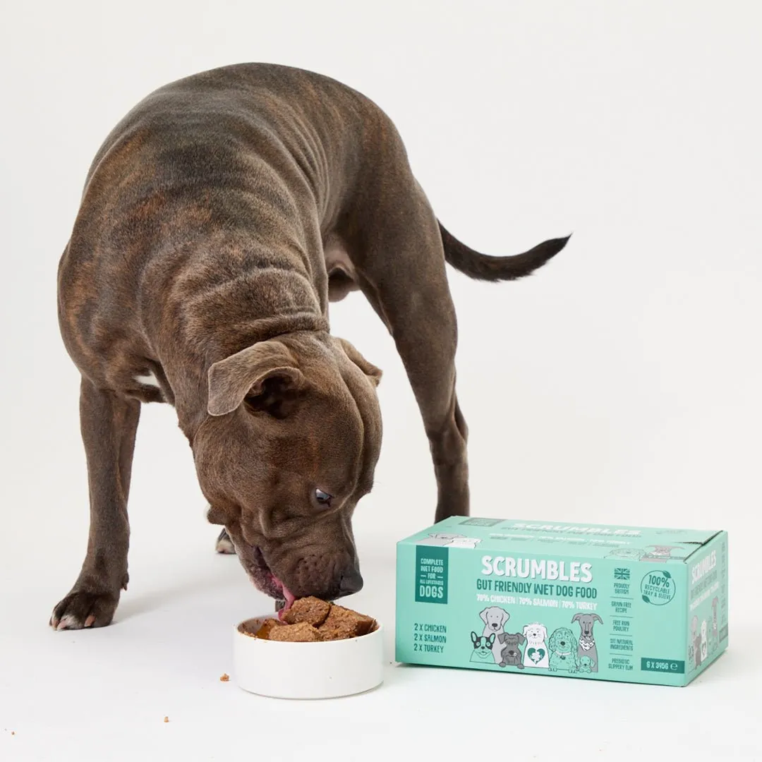 Wet Dog Food Variety pack