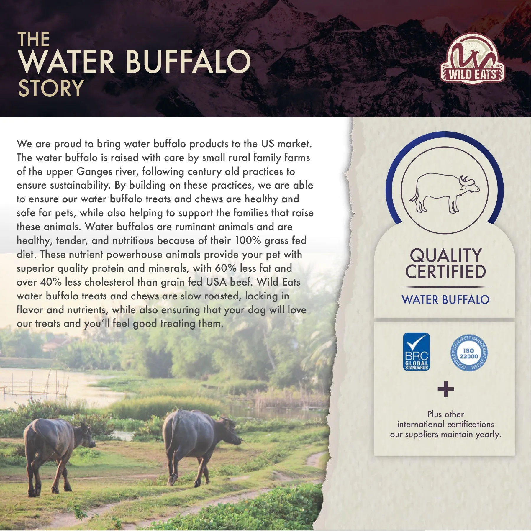 Wild Eats Natural Water Buffalo Ear